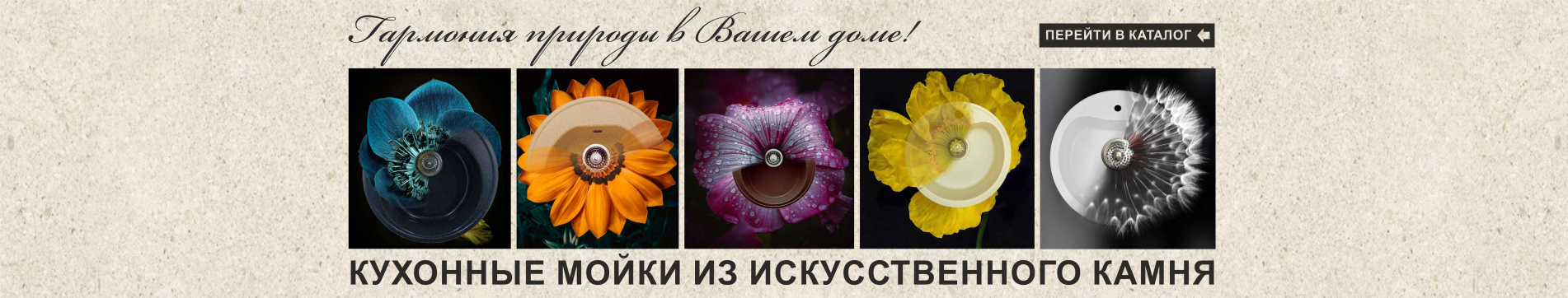 Мойки